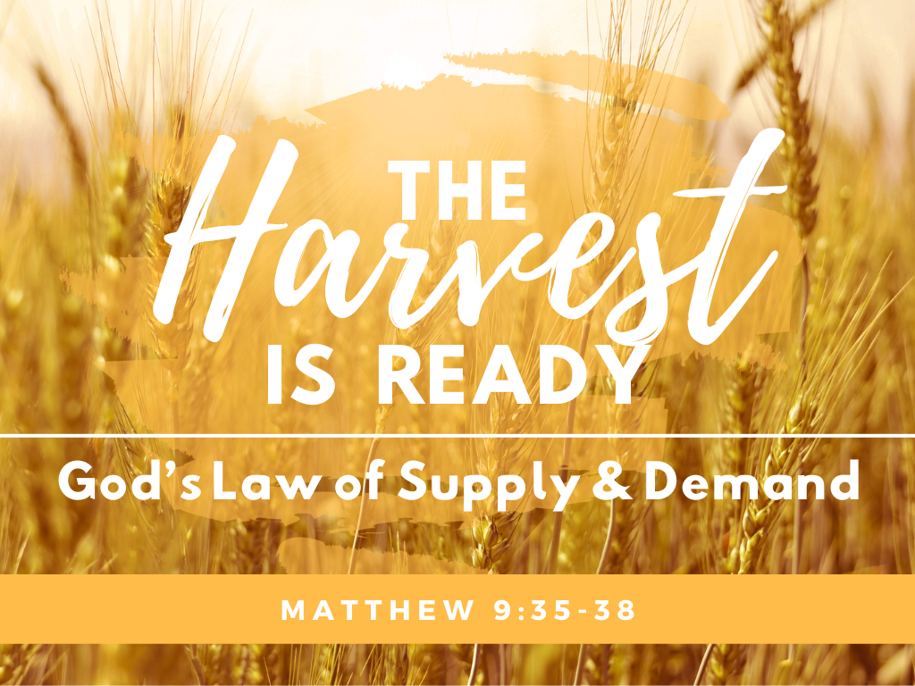The Harvest Is Ready: God’s Law of Supply & Demand